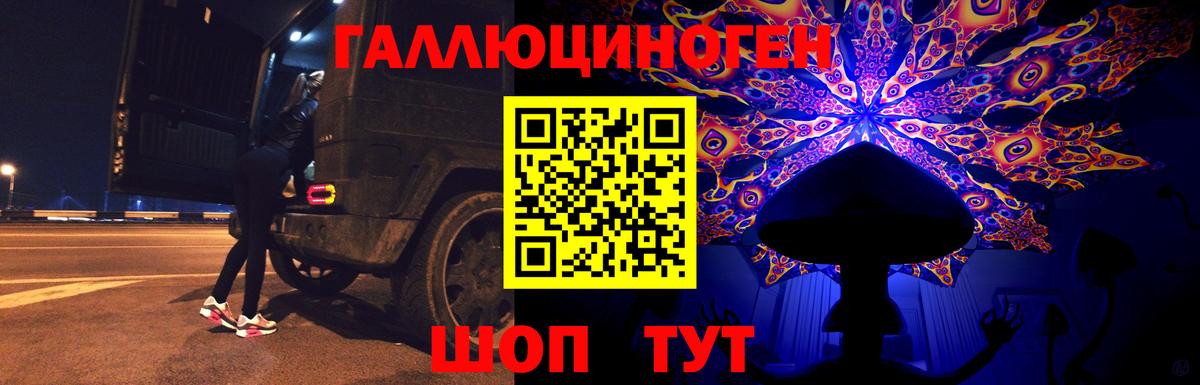 Галлюциногенные грибы Psilocybine cubensis Саранск